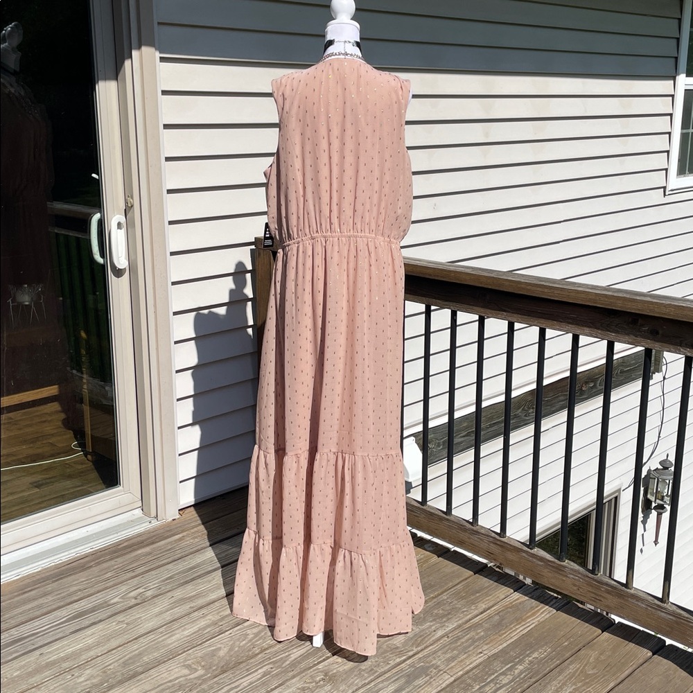 Pretty in Neutral Maxi by Express - Picture 12 of 17